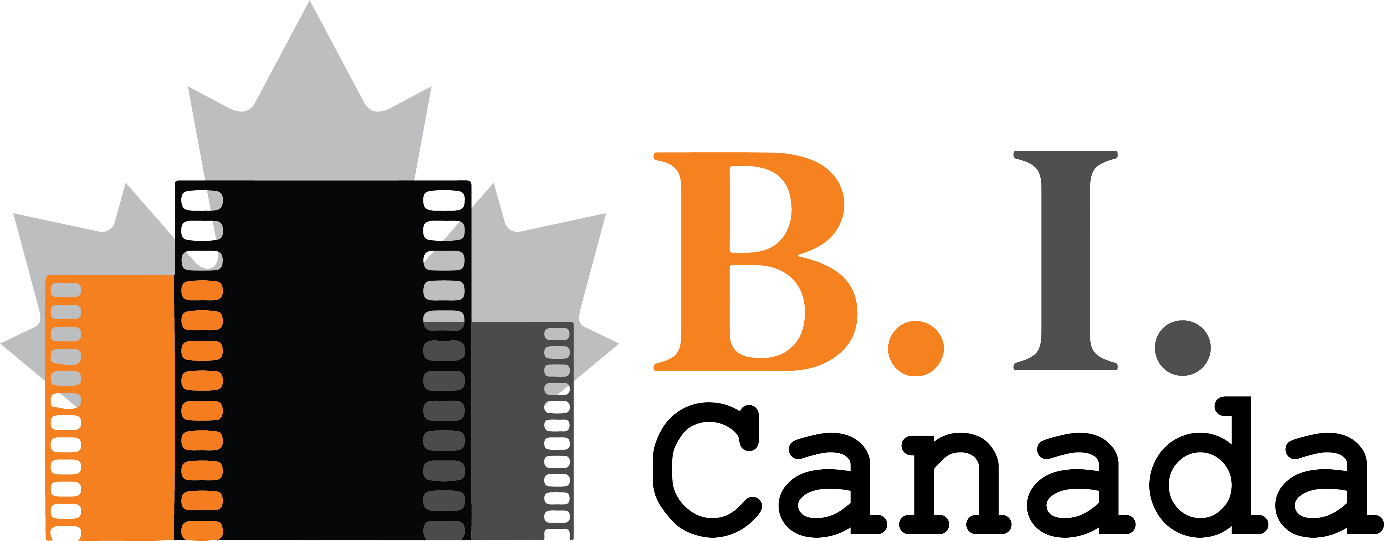 Generators BI CANADA WORKS LTD